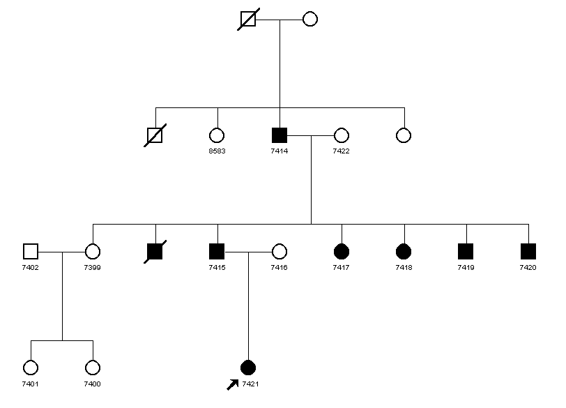 Pedigree 1036