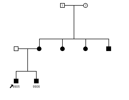 Pedigree 1137