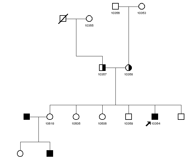 Pedigree 1187