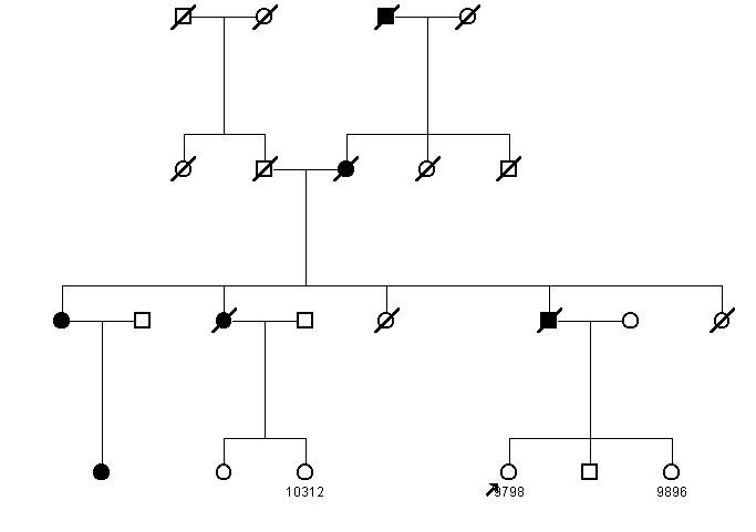 Pedigree 1289