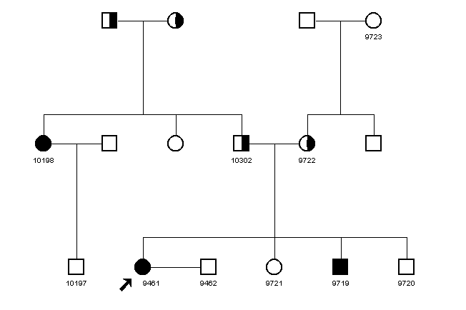 Pedigree 2166