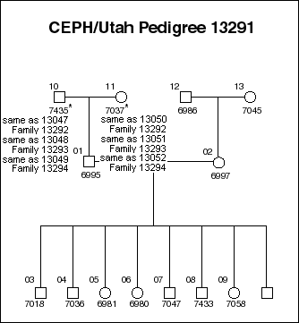 Pedigree