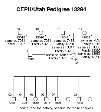 Pedigree