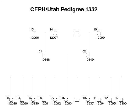 Pedigree