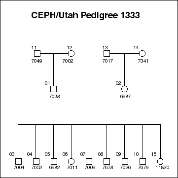 Pedigree