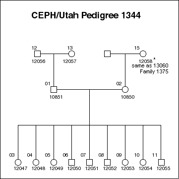 Pedigree