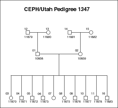 Pedigree