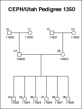 Pedigree