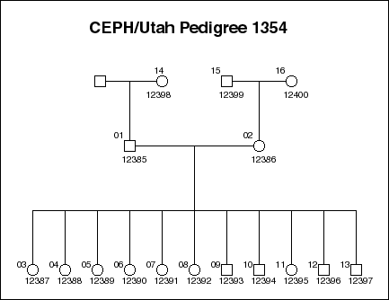 Pedigree