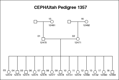 Pedigree