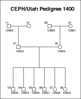 Pedigree