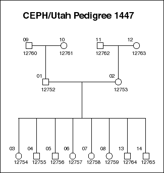 Pedigree