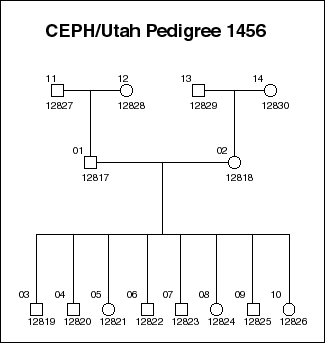 Pedigree