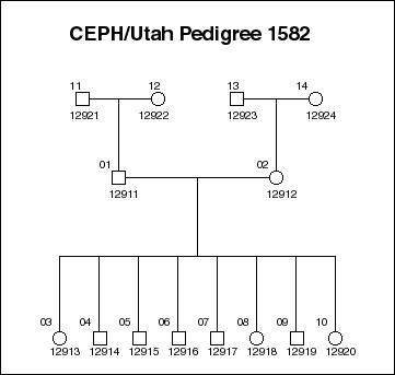 Pedigree