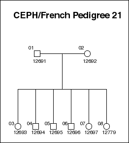 Pedigree