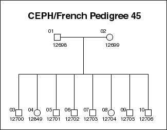 Pedigree